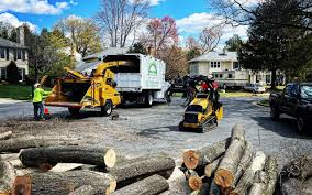 Best Arborist Consultation Services  in Pinebluff, NC